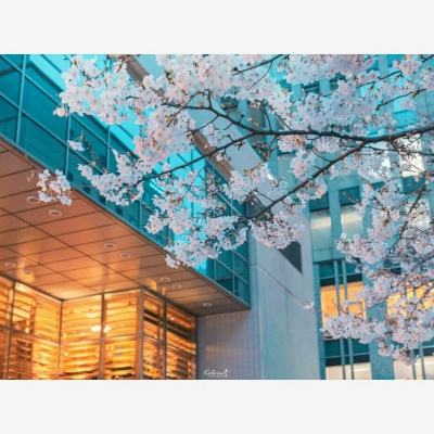 开元集团游戏网站